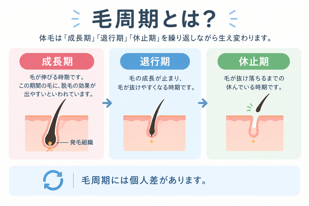 毛周期の解説
